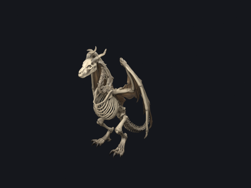 A skeletal wyvern with exposed bone ribs