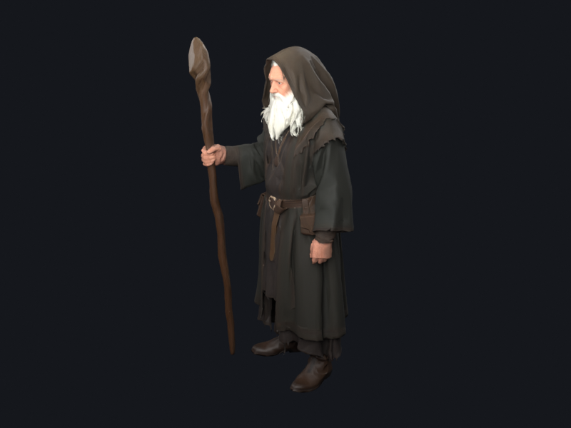 A robed elderly wizard character holding a wooden staff